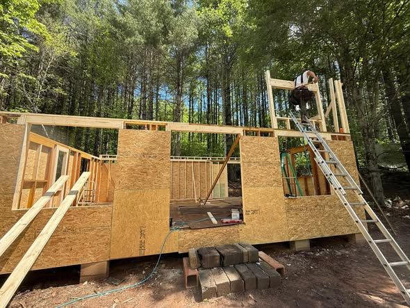 Framing cabin walls on a wooded lot