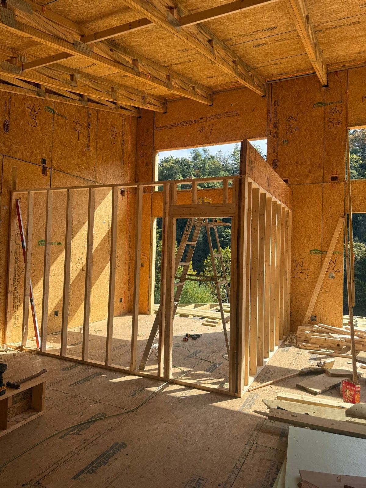 Interior framing and vaulted ceiling joists