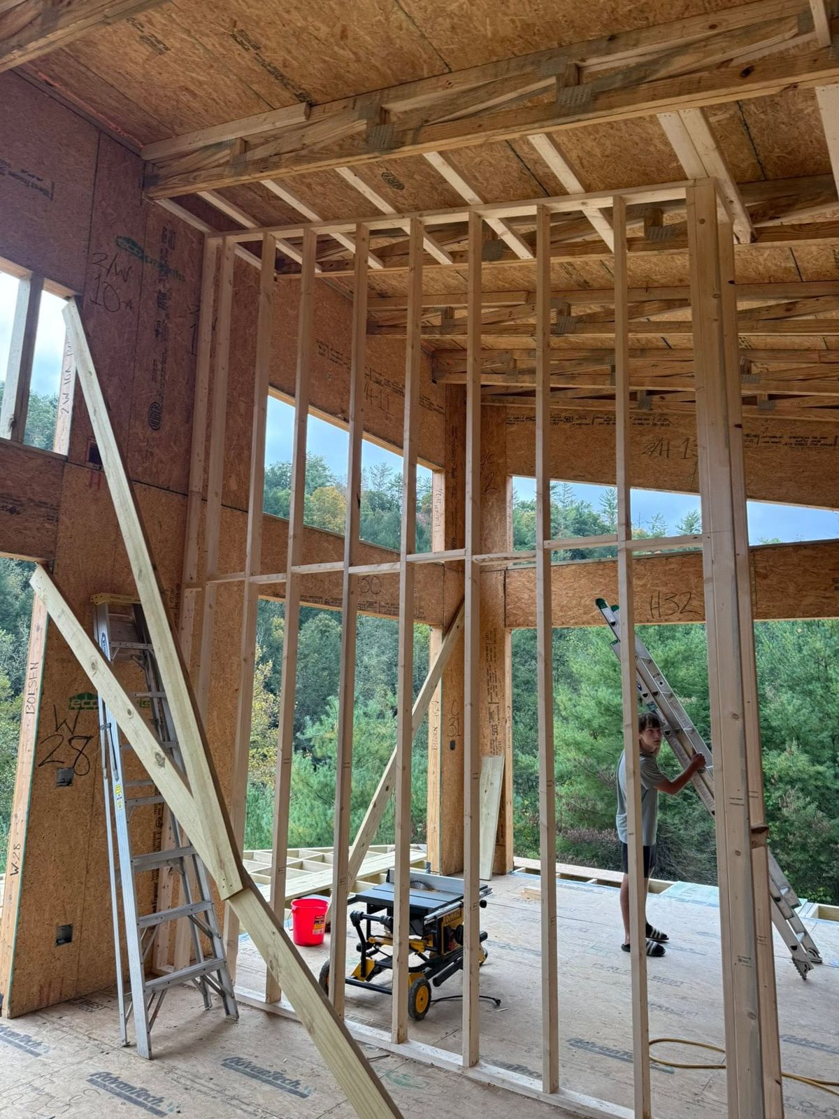 Tall window wall framing looking out at the trees